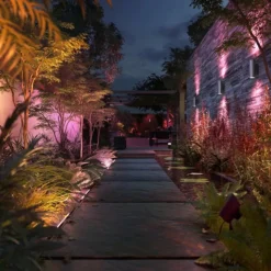 Luminaires Philips Philips Hue White and Color Ambiance Amarant LED Noir, 1 lumière, Changeur de couleurs