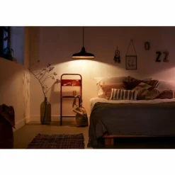 Luminaires Philips Philips LED E14 2,8 Watt 2700 Kelvin 255 Lumen