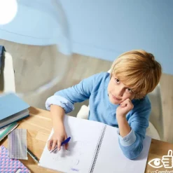 Luminaires Philips Philips LED E27 4,3 Watt 4000 Kelvin 470 Lumen