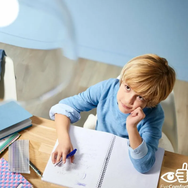 Luminaires Philips Philips LED E27 4,3 Watt 4000 Kelvin 470 Lumen