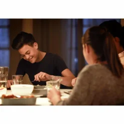 Luminaires Philips Philips LED E27 1,5 Watt 2700 Kelvin 150 Lumen