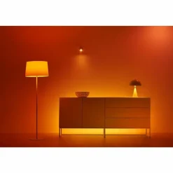 Luminaires Philips Philips WiZ LED E14 4,9 watt 2200-6500 kelvin 470 lumen