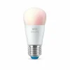 Luminaires Philips Philips WiZ LED E27 4,9 watt 2200-6500 kelvin 470 lumen