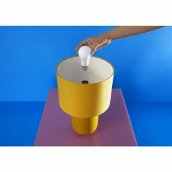 Luminaires Philips Philips WiZ LED E27 4,9 watt 2200-6500 kelvin 470 lumen