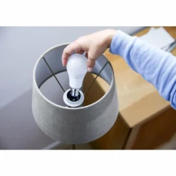 Luminaires Philips Philips WiZ Lot de 2 LED E27 8 watt 2200 - 6500 Kelvin 806 lumen