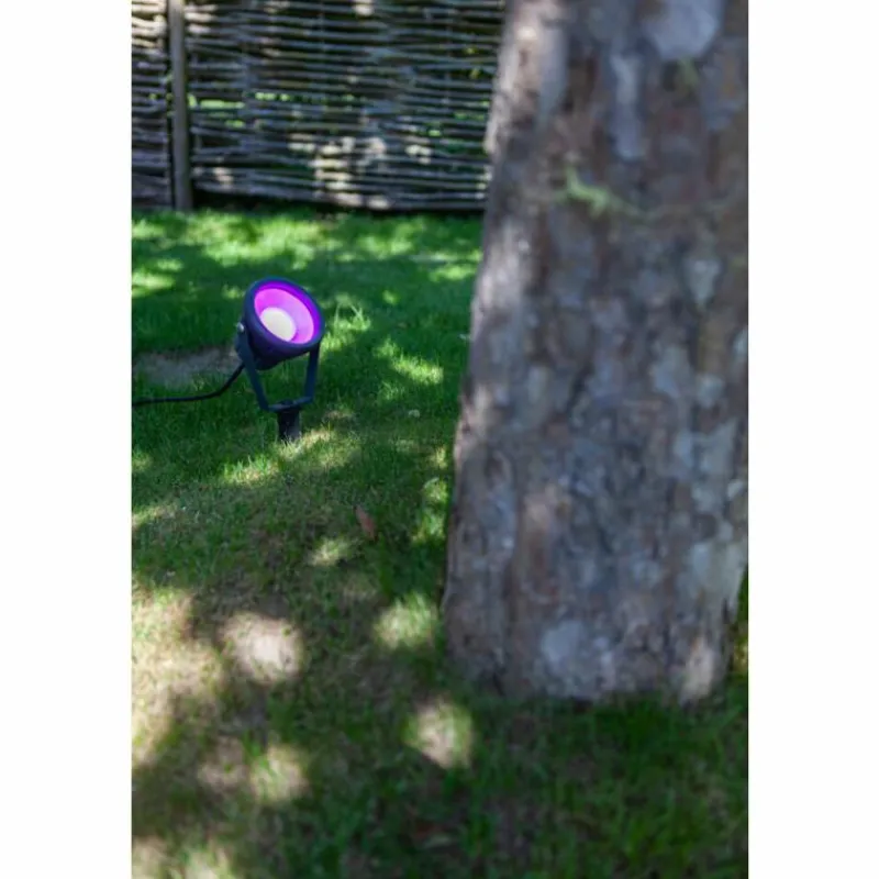 Luminaires Lutec pique de terre Lutec MINI LETO LED Anthracite, 1 lumière, Changeur de couleurs
