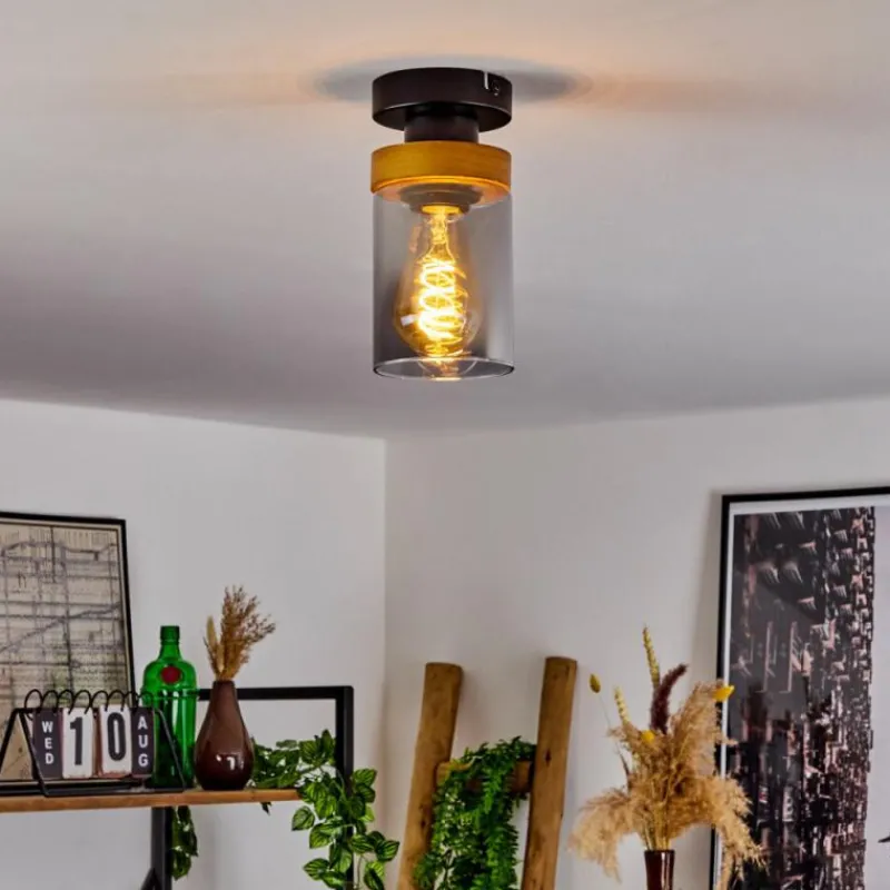 Suspension Verre Fumé-hofstein Plafonnier Amignon Noir, 1 lumière