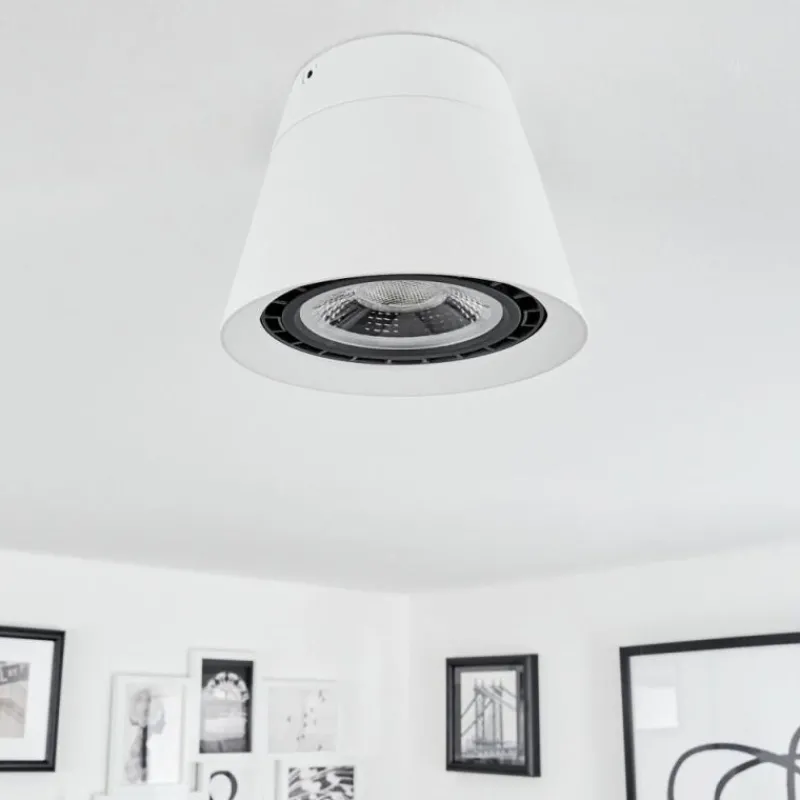 hofstein Plafonnier Especiosa Blanc, 1 lumière