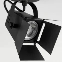 Lampes Industrielles-hofstein Plafonnier Isanay Noir, 1 lumière