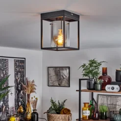 Suspension Verre Fumé-hofstein Plafonnier Sarniguet Noir, 1 lumière