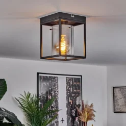 Suspension Verre Fumé-hofstein Plafonnier Sarniguet Noir, 1 lumière