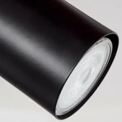 hofstein Plafonnier Sequeira LED Bois clair, Couleur bois, Noir, 2 lumières