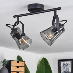 Suspension Verre Fumé-hofstein Plafonnier Trajouca Noir, 2 lumières