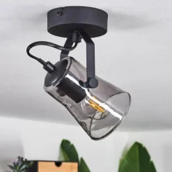 Suspension Verre Fumé-hofstein Plafonnier Trajouca Noir, 1 lumière