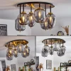 Suspension Verre Fumé-hofstein Plafonnier Verbania Laiton, 6 lumières