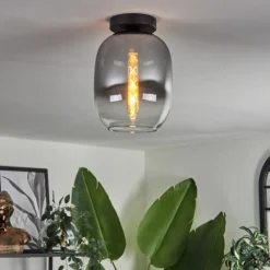 hofstein Plafonnier - Verre Apedo Clair, Fumé, 1 lumière