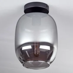 hofstein Plafonnier - Verre Apedo Fumé, 1 lumière