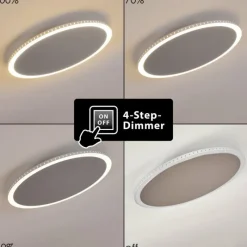 hofstein Plafonnier Aitrach LED Argenté, Blanc, 1 lumière