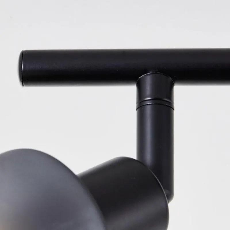 Luminaires Brilliant Plafonnier Brilliant Loralie Noir, 2 lumières