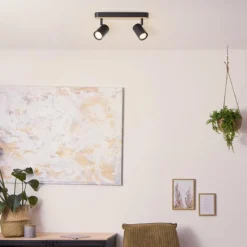 Luminaires Rustiques-Luminaires Brilliant Plafonnier Brilliant Niels Brun, Noir, 2 lumières