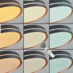 hofstein Plafonnier Cachalot LED Cuivre, Noir, 1 lumière, Télécommandes, Changeur de couleurs