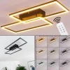 hofstein Plafonnier Cheka LED Noir, 2 lumières, Télécommandes