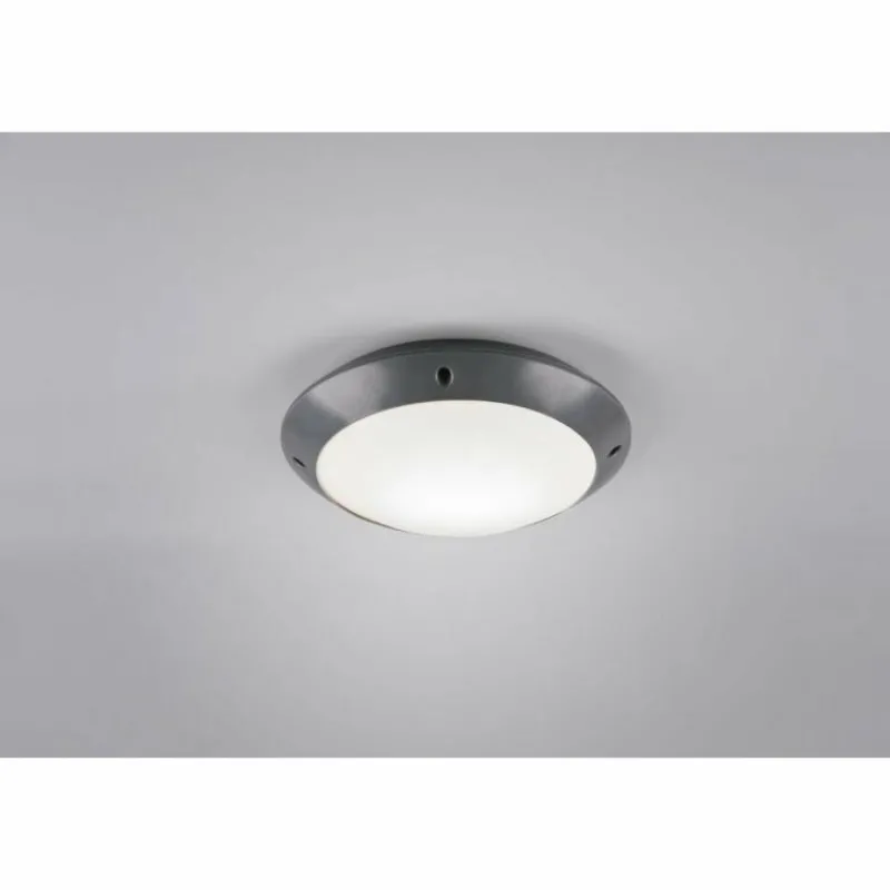 Luminaires Reality Plafonnier d'extérieur Reality CAMARO Anthracite, 1 lumière