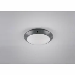 Luminaires Reality Plafonnier d'extérieur Reality CAMARO Anthracite, 1 lumière
