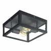 Luminaires Eglo Plafonnier Eglo ALAMONTE 1 Noir, 2 lumières