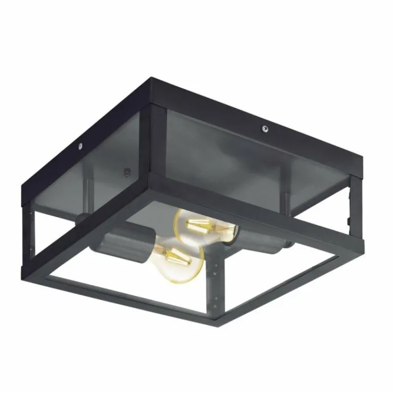 Luminaires Eglo Plafonnier Eglo ALAMONTE 1 Noir, 2 lumières