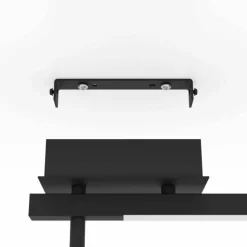 Luminaires Eglo Plafonnier Eglo CARDILLIO LED Noir, 2 lumières* Éclairage Led