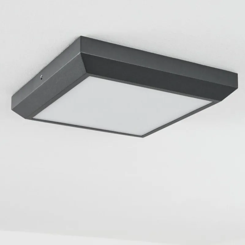 hofstein plafonnier extérieur Alkmaar LED Anthracite, 1 lumière