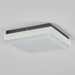 hofstein plafonnier extérieur Gomero LED Anthracite, Blanc, 1 lumière