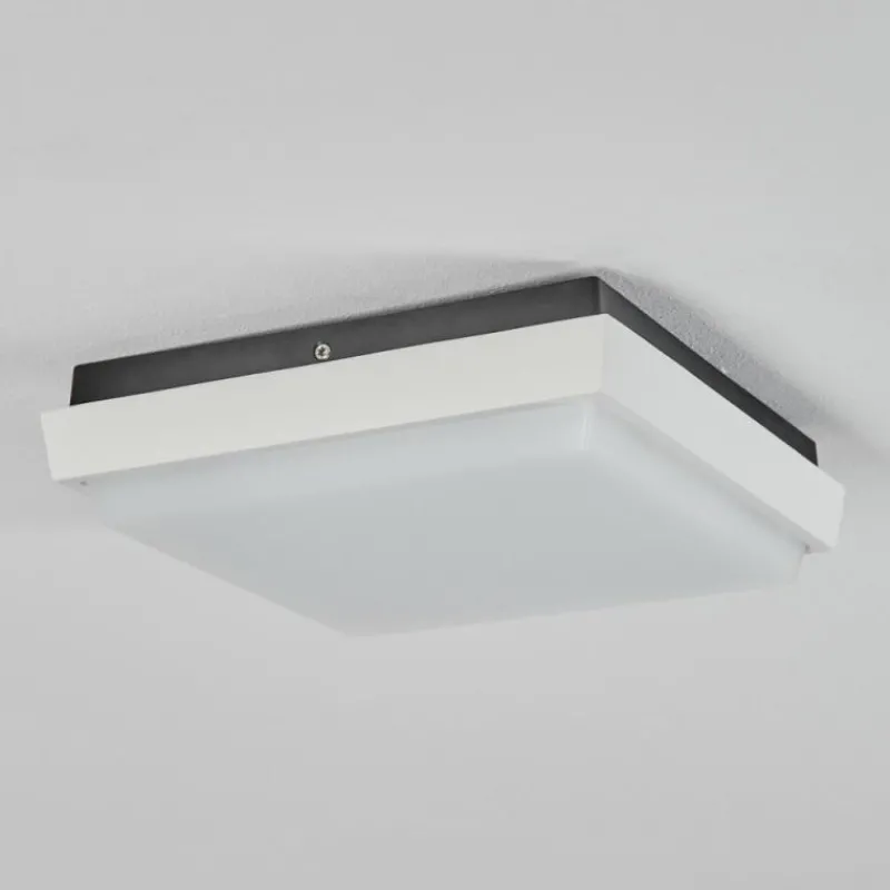 hofstein plafonnier extérieur Gomero LED Anthracite, Blanc, 1 lumière