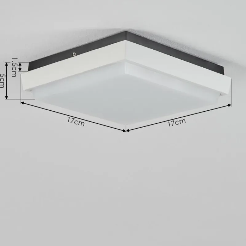 hofstein plafonnier extérieur Gomero LED Anthracite, Blanc, 1 lumière