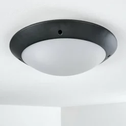 hofstein plafonnier extérieur Grafton Anthracite, 2 lumières