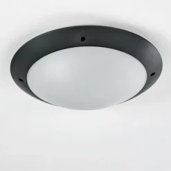 hofstein plafonnier extérieur Grafton Anthracite, 2 lumières