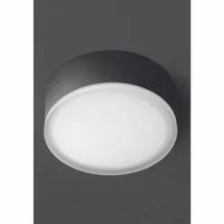 Luminaires LCD plafonnier extérieur LCD Grasbrunn LED Noir, 1 lumière
