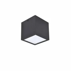 Luminaires Lutec plafonnier extérieur Lutec Gemini LED Anthracite, 1 lumière