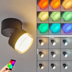 hofstein plafonnier extérieur Papagayos LED Anthracite, Blanc, 1 lumière, Changeur de couleurs