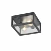 Luminaires Trio plafonnier extérieur Trio GARONNE Anthracite, 2 lumières
