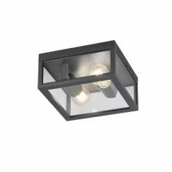 Luminaires Trio plafonnier extérieur Trio GARONNE Anthracite, 2 lumières
