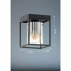 Suspension Verre Fumé-Luminaires Fischer & Honsel Plafonnier Fischer & Honsel Samu Noir, 1 lumière