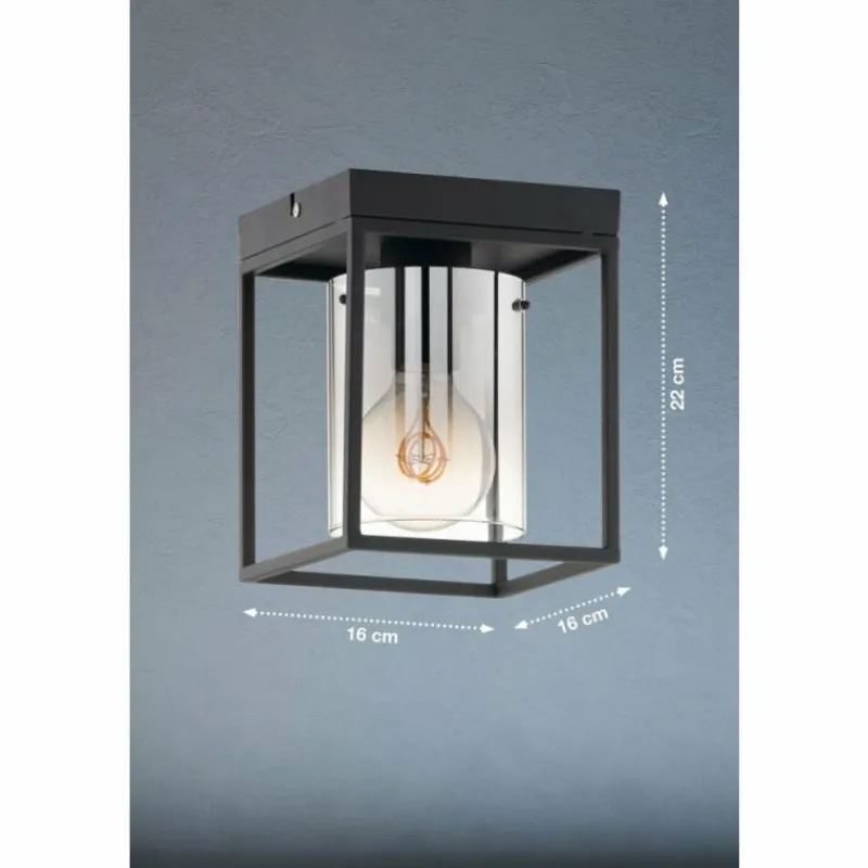 Suspension Verre Fumé-Luminaires Fischer & Honsel Plafonnier Fischer & Honsel Samu Noir, 1 lumière