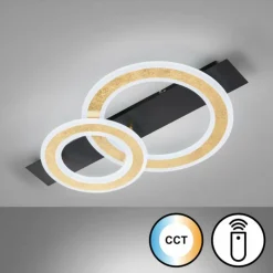 Luminaires Fischer & Honsel Plafonnier Fischer & Honsel Circle LED Noir, 1 lumière, Télécommandes