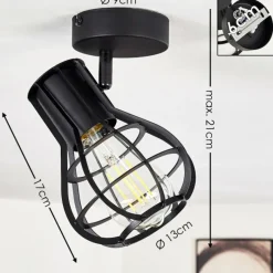 Luminaires Rustiques-hofstein Plafonnier Gainesville Noir, 1 lumière