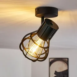 Luminaires Rustiques-hofstein Plafonnier Gainesville Noir, 1 lumière