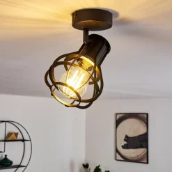 Luminaires Rustiques-hofstein Plafonnier Gainesville Noir, 1 lumière