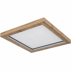 Luminaires Globo Lighting Plafonnier Globo BRANZA LED Noir, 1 lumière, Télécommandes* Éclairage Led