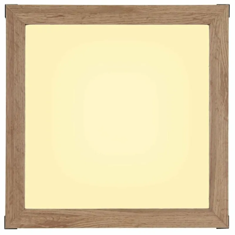 Lampes En Bois-Luminaires Globo Lighting Plafonnier Globo CARLA LED Noir, Blanc, 2 lumières